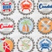 LAST PIECE Half Yard Bottle Caps, Going Coastal, by Emily Herrick for Michael Miller Fabrics, 100% Cotton Fabric