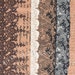 Half Yard of Curio Cabriole in Clove, Basic Grey for Moda Fabrics, 100% Cotton Fabric