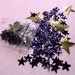 190 Purple & Gold STAR Sequins Mix