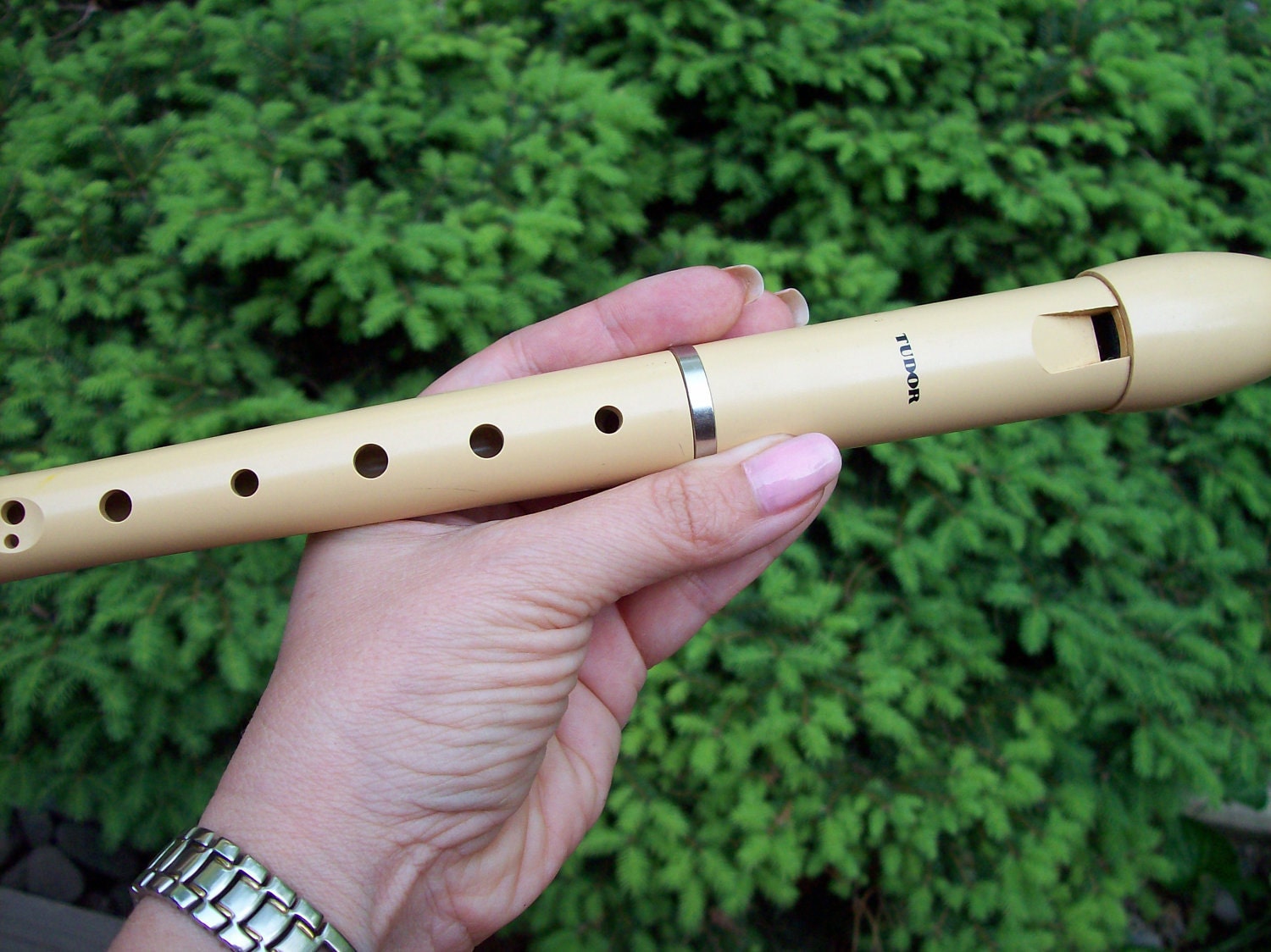 Vintage Recorder instrument musical TUDOR