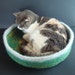 Hand Knit Felted Cat Bed Peruvian Highland Wool Pet Bed Cat Napper - Hendrick