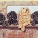 Pegasus By Patricia Rowe Dukes Griff SIX PACK Labrador Retriever Puppies - Counted Cross Stitch Pattern Chart