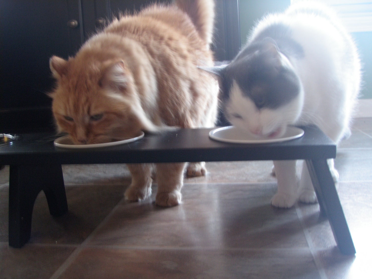 Raised / Elevated Cat Feeding Station 3 Bowl