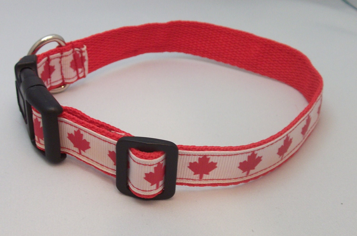 Canada Day maple leaf dog collar