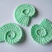 Crochet Sea Shells Applique in Mint Green