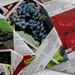 PIF 12 Garden Fruits and Flowers Envelopes Great for Seedlings