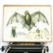 Greek school print very old 1900 bat, paper on card map school chart school map