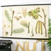 RESERVED FOR DONNA Botanical chart Hazelnut Genuine vintage school print Paper on linen, Copenhagen