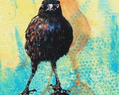 Look Ma, No Hands. A bold dare-devil balancing blackbird with an intense stare. Decorative CERAMIC TILE - 8" x 8". Free U.S. shipping. Look Ma, No Hands. A bold dare-devil balancing blackbird with an intense stare. Decorative CERAMIC TILE - 8" x 8". Free U.S. shipping.