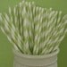 30 Green Stripe Paper Straws w/ "Free" Blank Printable Pennants..we also offer personalized pennants