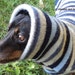 Dog snood warm soft felted lambswool coverage for head ears neck and withers
