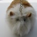 Guinea Pig Purse White and Honey