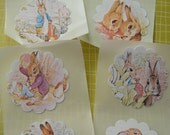 Peter Rabbit Stickers, Label Beatrix Potter Il_170x135