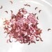 Pink Glitter Crescent Moons - 1 Fl. Ounce