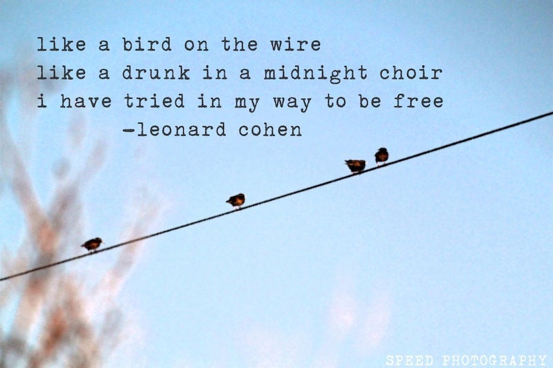 Image result for leonard cohen quotes