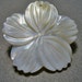 40MM Carved Mother of Pearl Pendant