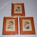 3 Vintage Asian Style Butterfly Framed Prints