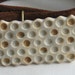 Apis habilis: Buckle 9