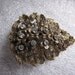 Antique Large Ladies Dress Fur Clip Rhinestones Detailed Leaves Flowers