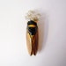 Vintage French Cicada Wall Vase