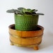 Vintage Small Wooden Planter Tripod