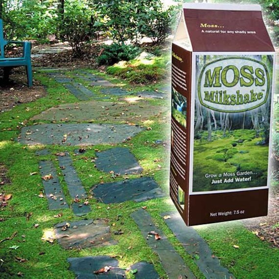 top 28 moss milkshake review top 28 moss milkshake top 28 moss milkshake review top 28 moss milkshake