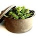 Vintage / Antique Large Metal Pot with Lid - Rustic Home Decor, Unique Planter, Storage and more