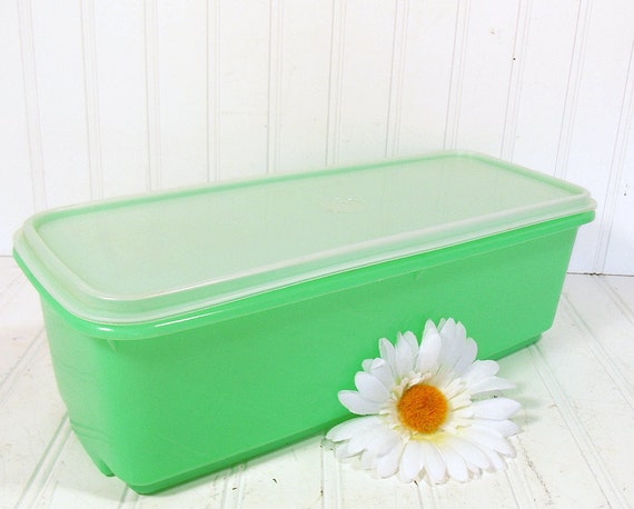 TupperWare Large Spring Green Celery Keeper by DivineOrders