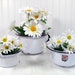 Chamber Pot Planters Collection - Vintage Enamelware Graduated Group - Rustic Primitive Set of 3 Garden Containers