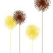 82dandelions