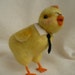 Geek Chick Needle Felted Needlecrafted OOAK by grannancan