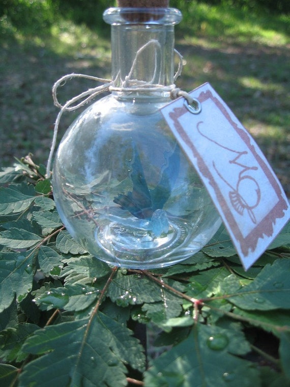 fairy bottle toy