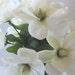 Silk Floral Arrangement In A Black Vase With White Flowers