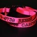 Two Personalized Dog ID Collars