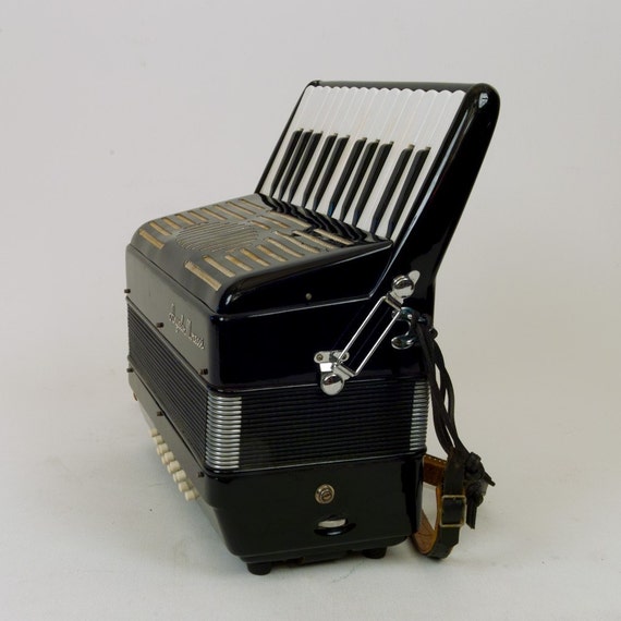 Concertina Accordionlike Instrument