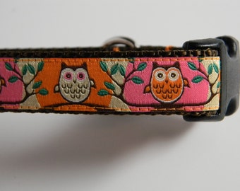 Owl Dog Collar- Cute Hoot 3/4" Wide Pink & Orange