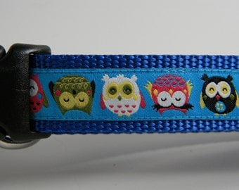 Owl Dog Collar- Fat Little Owls 1" wide Blue