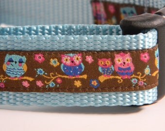 Owl Dog Collar- Springtime Owls 1" Wide
