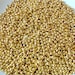 Bright Gold ROUND 2.5mm Smooth Beads . 200 pc