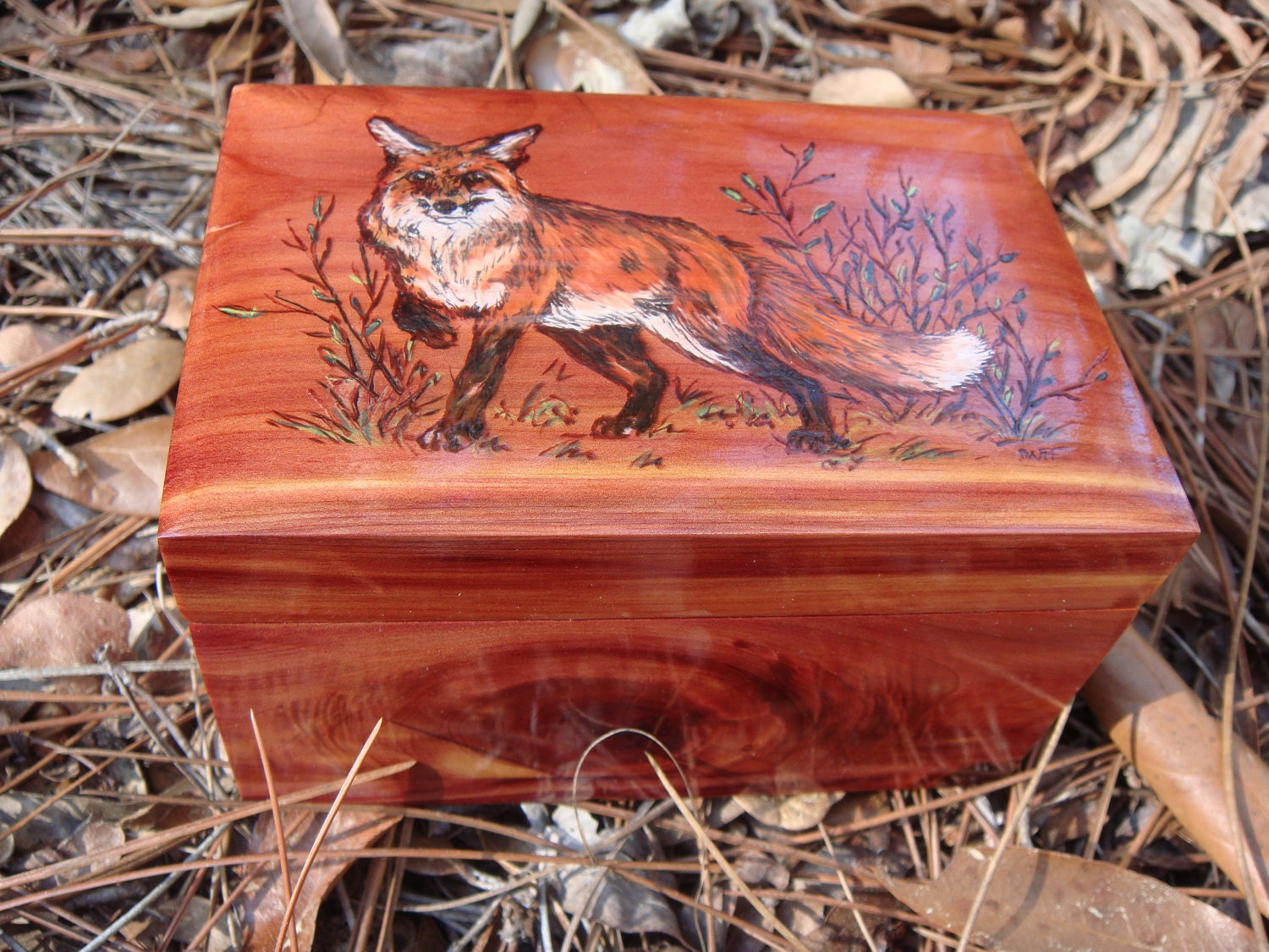 Cedar Jewelry box with woodburned Fox