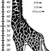 Large Giraffe Growth Chart Kids Wall Height Chart