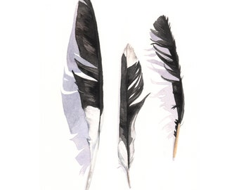 Magpie Feather painting - F020- print of watercolor painting -5 by 7 print, bird art, wall art, home decor
