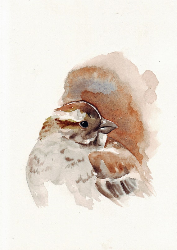 Sparrow Painting bird ART Print of watercolor painting
