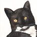 Custom Pet Portrait Original Watercolor Painting of Kerouac- reserved for Katja