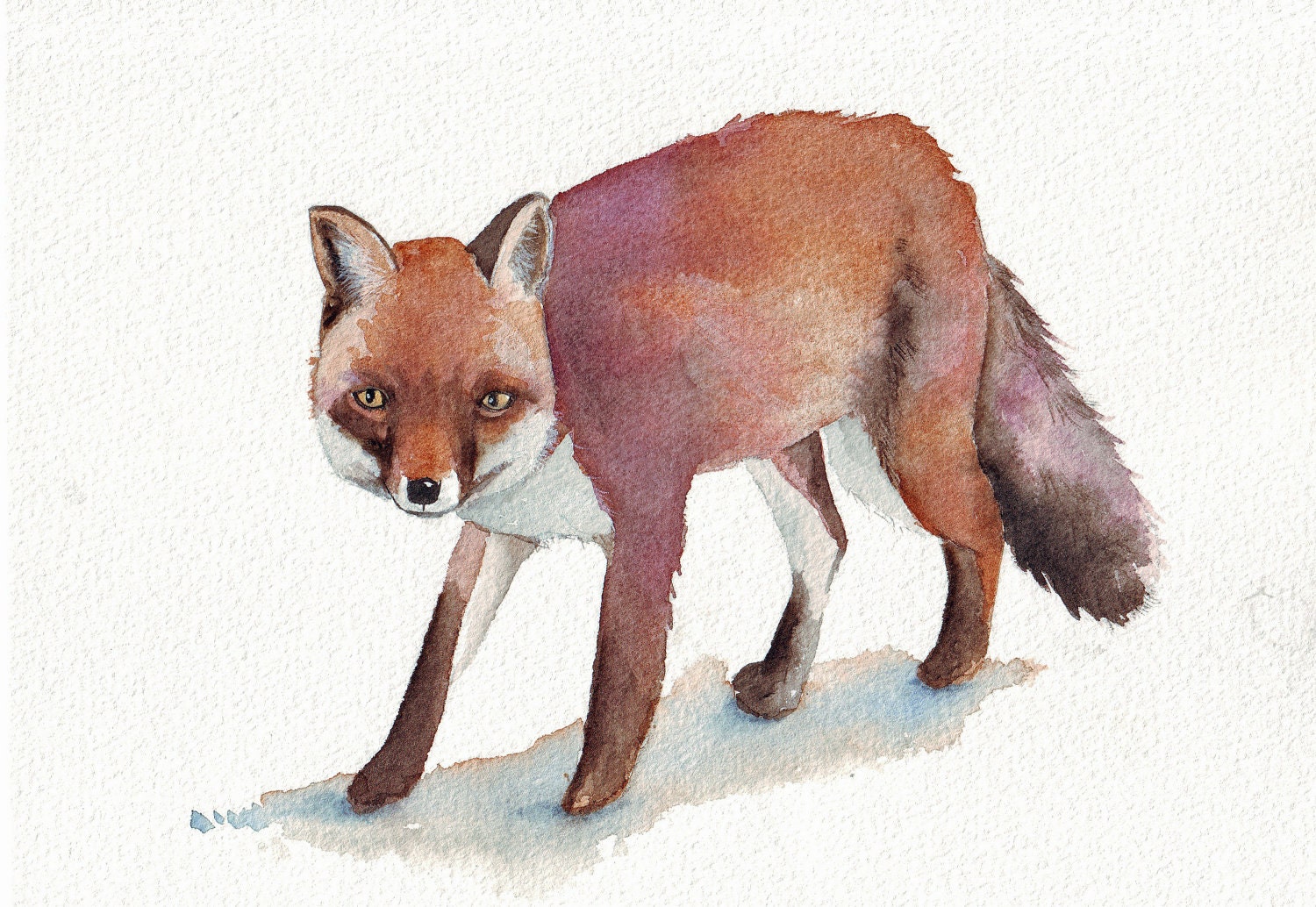 Fox Painting ORIGINAL animal WATERCOLOR painting by LouiseDeMasi