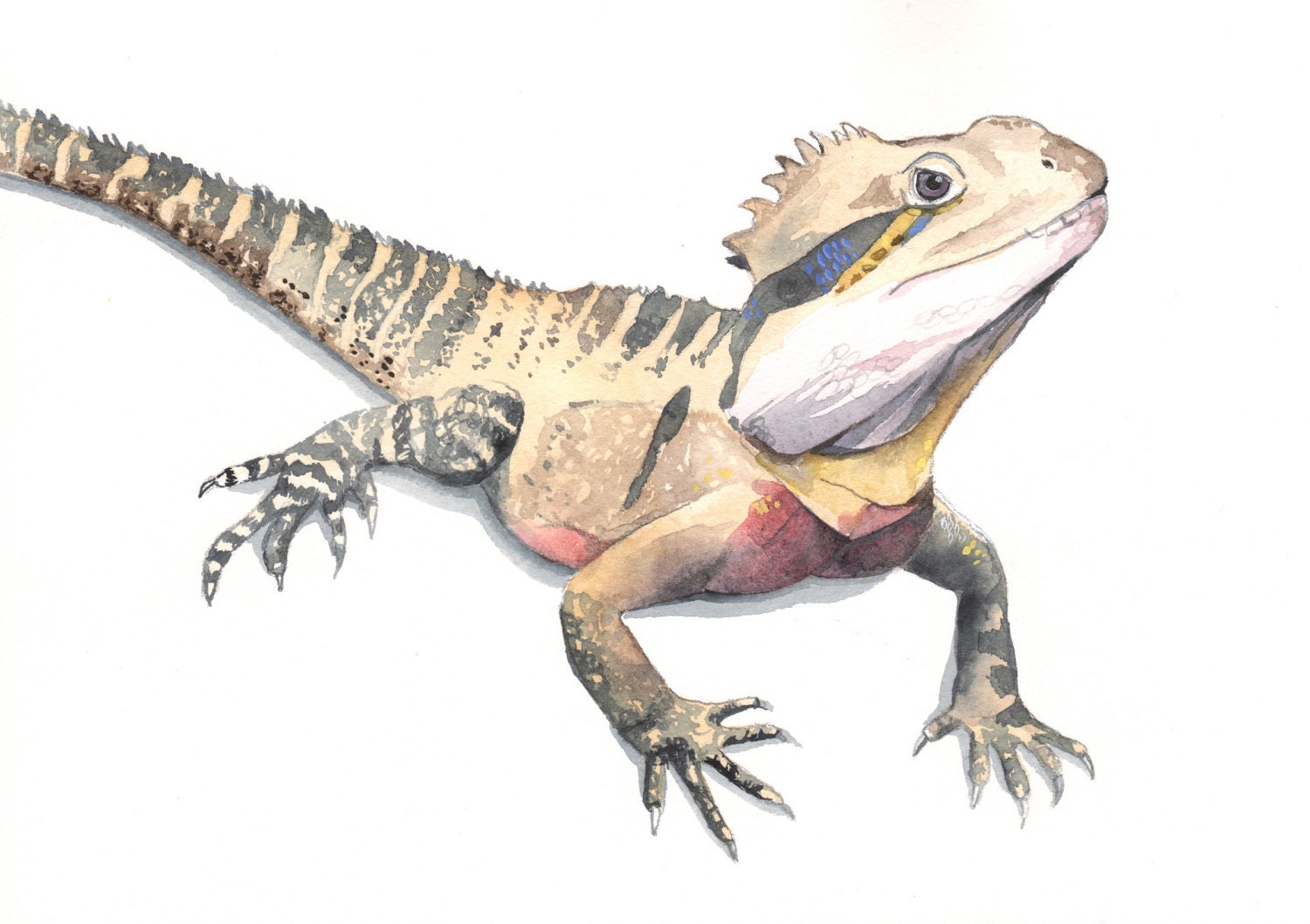 Lizard painting print of watercolor painting 5 by 7 print