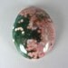 Ocean Jasper Cabochon