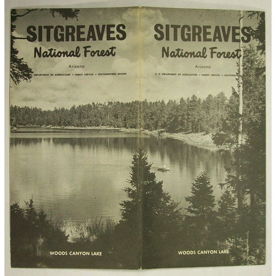 Apache Sitgreaves National Forest - Il 570xN.239614124