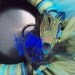Beautiful PEACOCK Inspired TULLE WREATH