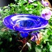 BUTTERFLY FEEDER, 18K Gold, Cobalt Blue, Stained Glass, inscription "Life Began in a Garden", Garden art